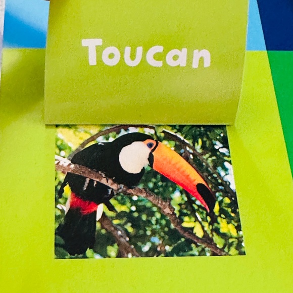 Who's Looking At You? Stephane Frattini Lift-the-Flap Picture Book - Picture 10 of 11